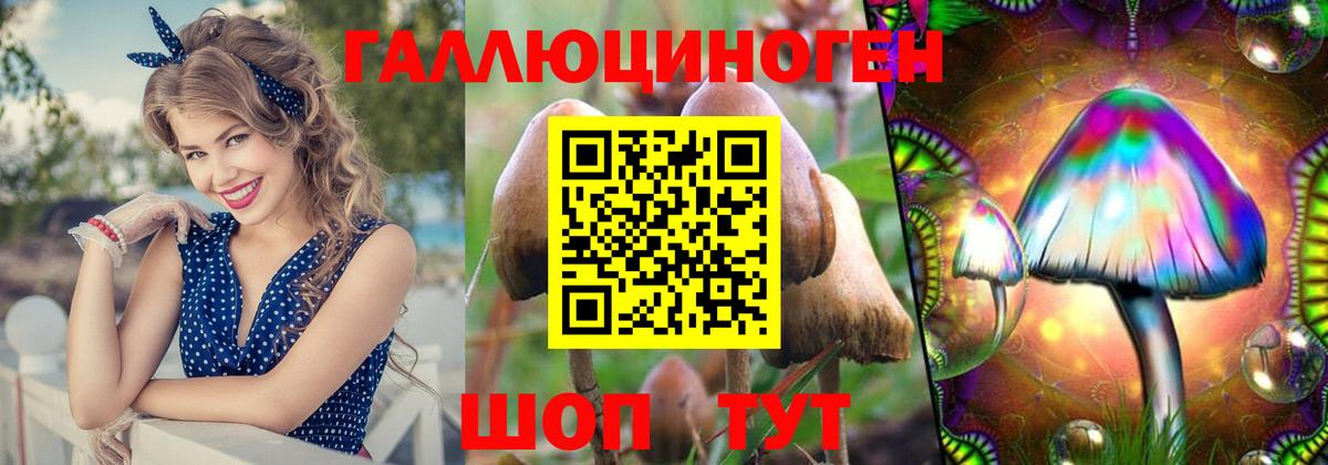 Каменск-Шахтинский  Псилоцибиновые грибы мухоморы  Вход с VPN 